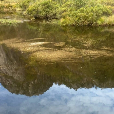 Nærbilde av elv med grunne områder og undervannsgress reflektert i vannflaten.