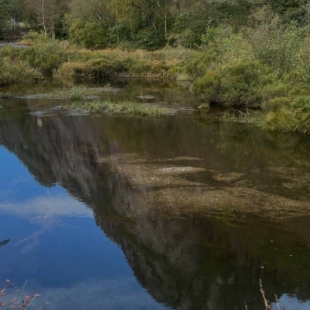 Elvekant med klart vann og speilbilde av skog og steinbunn under vann.