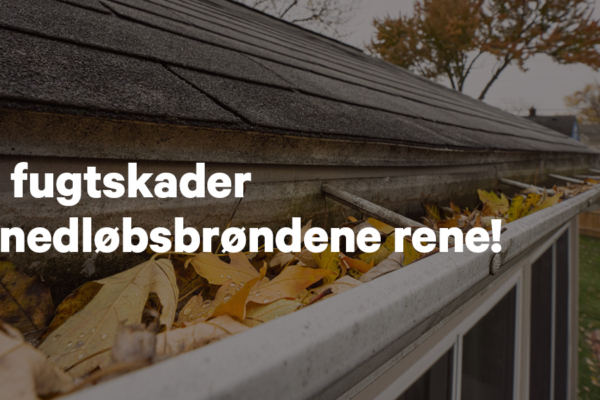 Gutter clogged with autumn leaves, warning to keep drains clean