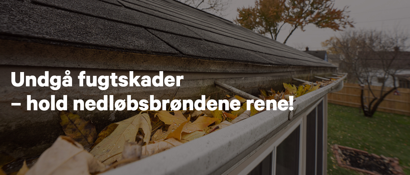 Gutter clogged with autumn leaves, warning to keep drains clean
